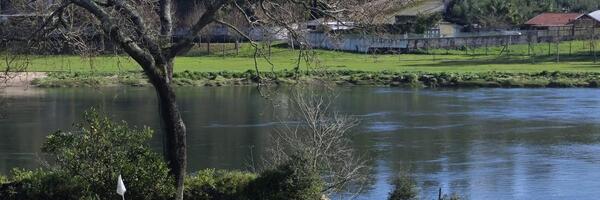 Imagem de Quinta da Barca